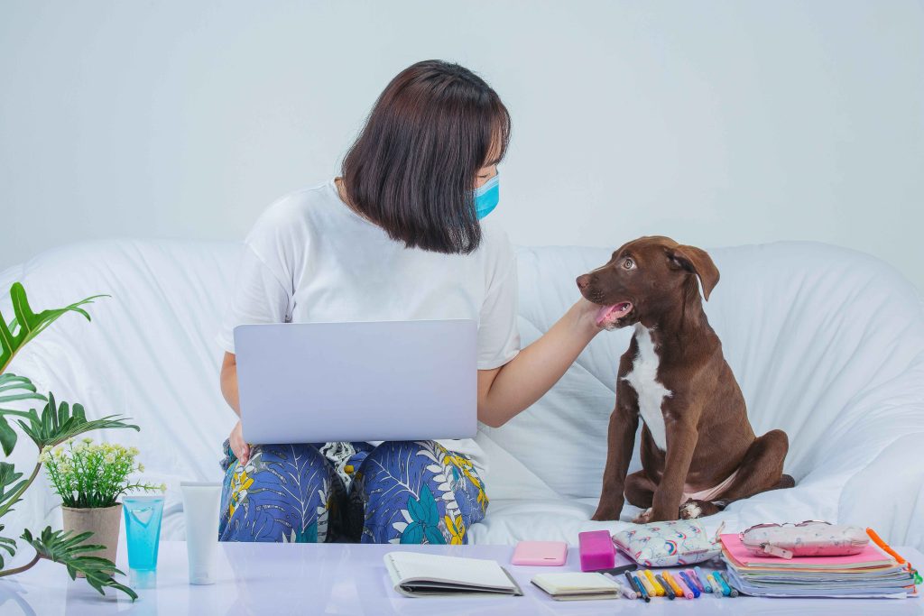 Pet Boarding Near Me: Common Mistakes Pet Owners Make When Booking